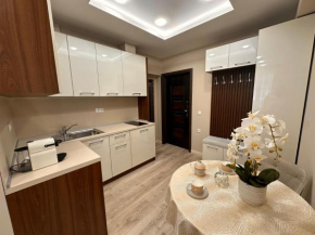 Luxury Apartments 1
